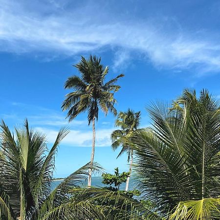 Suites Ventos E Velas Praia Pôrto de Pedras Kültér fotó