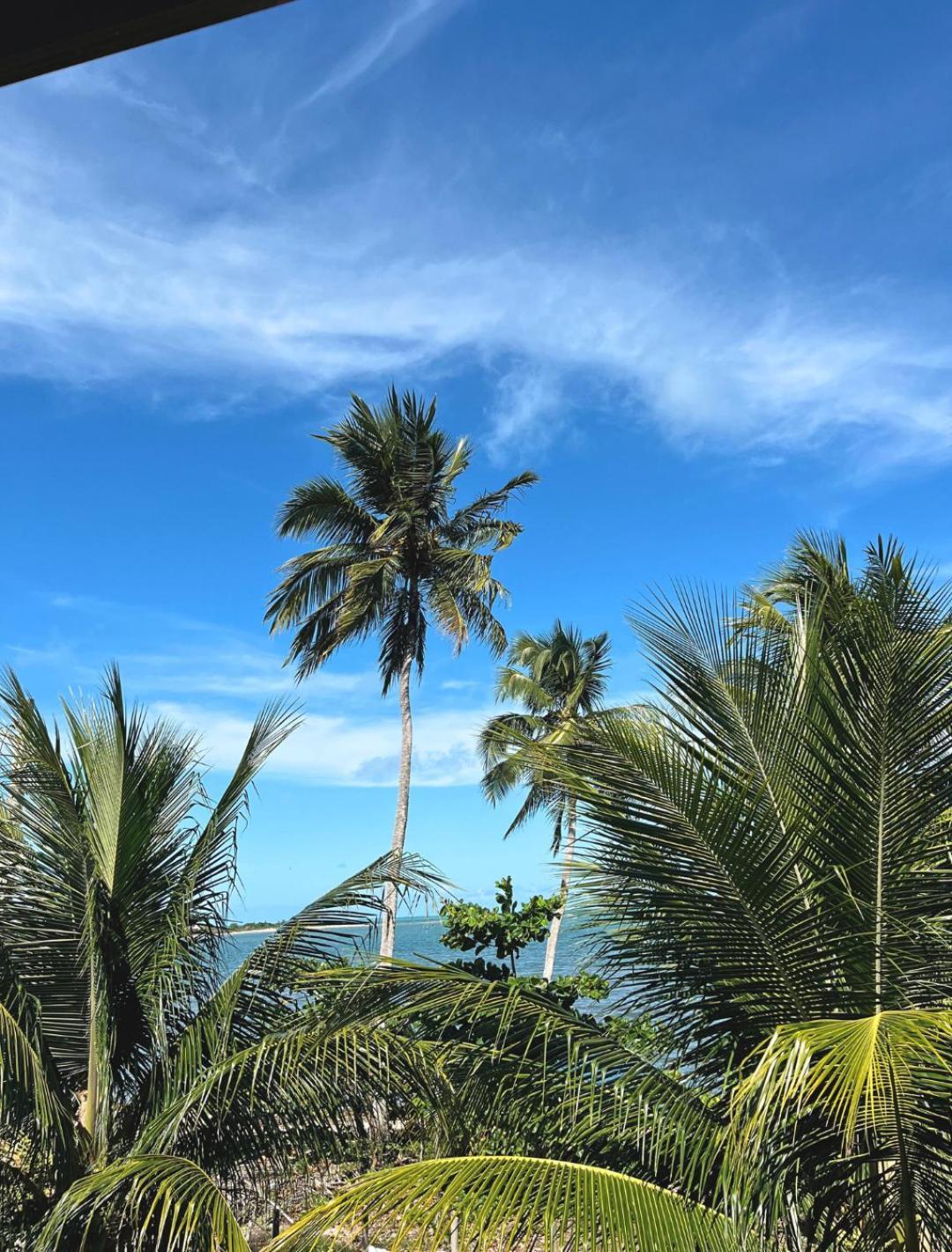 Suites Ventos E Velas Praia Pôrto de Pedras Kültér fotó